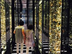 -天龙轩(香港丽思卡尔顿酒店)