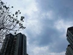 -木塔寺遗址生态公园