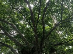 -海心沙亚运公园