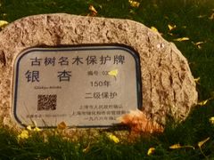 -外滩