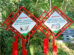 -环城公园