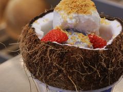 马蹄豆乳冰淇淋-蔻蔻椰·鲜萃椰子水(COCO Park店)
