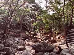 -梧桐山风景名胜区