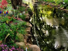 -上海共青森林公园