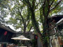 -悦真雅院·四合院·清真私房菜(雍和宫店)