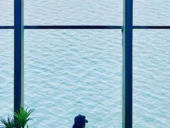 -抱抱地球咖啡馆(国家海洋博物馆店)