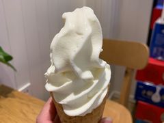 -蜜雪冰城(托乐嘉店)