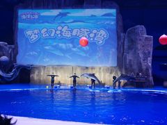 -华夏文旅海洋公园