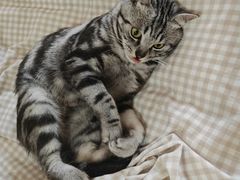 -贝来恩24H动物医院·转诊中心(稻香路店)