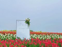 -径山花海