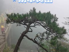 -黄山风景区