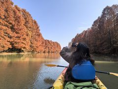 -上海海湾国家森林公园