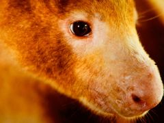 -万达影城(唐山爱琴海XLAND店)