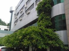 -郑州大学第二附属医院(经八路院区)