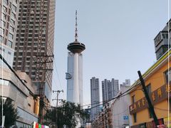 -辽宁电视塔