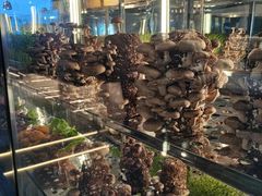 -大头椰·椰子鸡火锅(南宁万象城店)