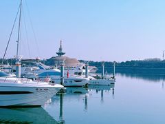 -巧克力渔家.小船海鲜胶东菜(万平口店)