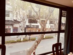 -椿不老