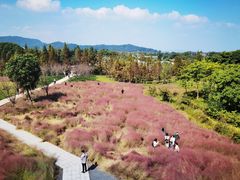 -下渚湖国家湿地公园科普馆