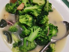 -新吉士·上海菜(浦东LCM置汇旭辉店)