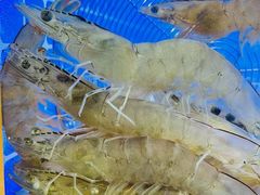 -鲁商铂尔曼大酒店·铂丽自助餐厅