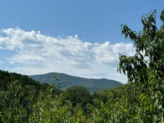 -北京西山国家森林公园