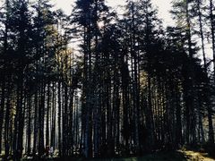 -石棉县孟获城