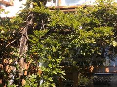 -吃货私房菜(丽江束河古镇店)