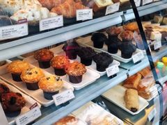 -星巴克(深圳音乐厅店)