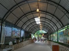-100蛋泥浆浴