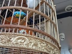 -银记肠粉(文昌北路店)