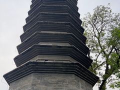 -正阳书局(西四南大街店)
