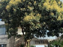 -求水山公园