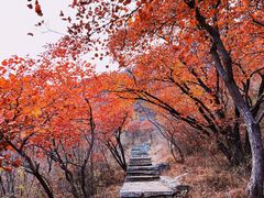 -周口店坡峰岭风景区