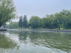-皇家御河游(紫御湾码头)