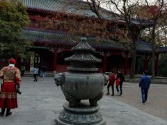 -灵谷景区
