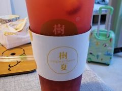 -树夏(建设路店)