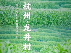 -龙井壹号·茶缘山景宴(龙井村店)