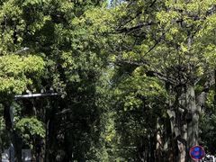 -仙岳公园