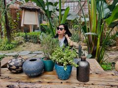 -桉树林A coffee 森林餐厅(三圣乡店)