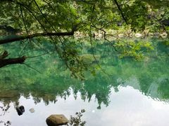 -石台牯牛降景区