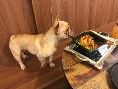 -柯斗斗主题餐厅·狗咖·围炉煮茶·茶饮(国瑞升平里店)