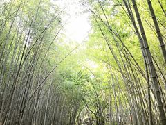 景点-穹窿山景区