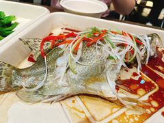 鲑鱼-盒马鲜生(宝地店)