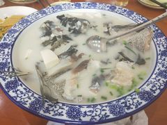 -全乐鱼馆·淳牌有机鱼直营店
