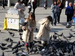 -圣马尔谷圣殿宗主教座堂