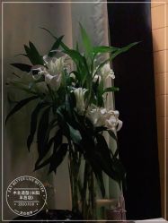-木北造型