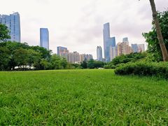 -广州珠江公园