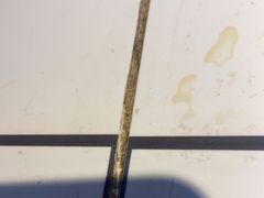 -霸王虾·麻辣小龙虾(清水河公园店)