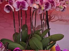 -卡罗酒店(东门晒布地铁站店)